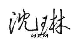 駱恆光沈琳行書個性簽名怎么寫