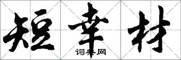 胡問遂短幸材行書怎么寫