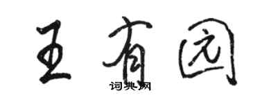 駱恆光王有園行書個性簽名怎么寫