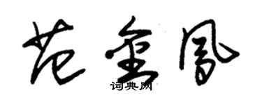 朱錫榮範金鳳草書個性簽名怎么寫