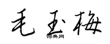 王正良毛玉梅行書個性簽名怎么寫