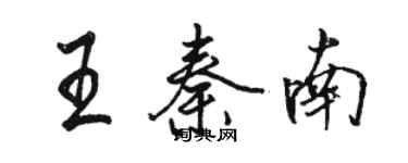 駱恆光王秦南行書個性簽名怎么寫