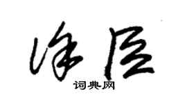 朱錫榮徐臣草書個性簽名怎么寫