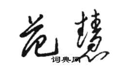 駱恆光范慧草書個性簽名怎么寫