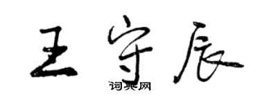 曾慶福王守辰行書個性簽名怎么寫