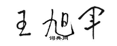 駱恆光王旭軍草書個性簽名怎么寫