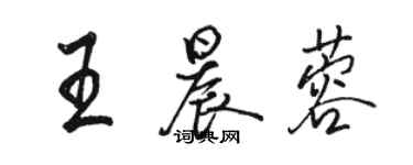 駱恆光王晨蓉行書個性簽名怎么寫