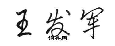 駱恆光王發軍行書個性簽名怎么寫