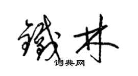 梁錦英鐵林草書個性簽名怎么寫