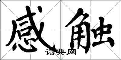 翁闓運感觸楷書怎么寫