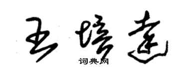 朱錫榮王培達草書個性簽名怎么寫