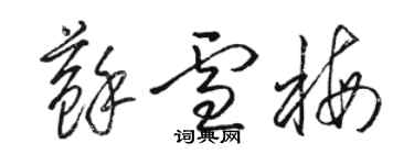 駱恆光蘇雪梅草書個性簽名怎么寫