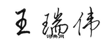 駱恆光王瑞偉行書個性簽名怎么寫