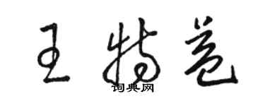 駱恆光王特益草書個性簽名怎么寫