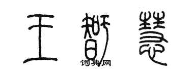陳墨王智慧篆書個性簽名怎么寫