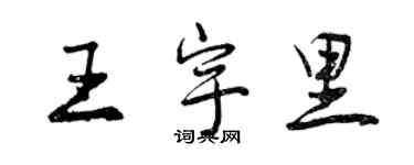 曾慶福王宇里行書個性簽名怎么寫