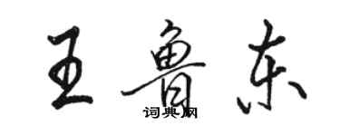 駱恆光王魯東行書個性簽名怎么寫