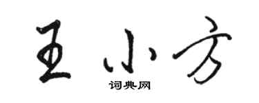駱恆光王小方行書個性簽名怎么寫