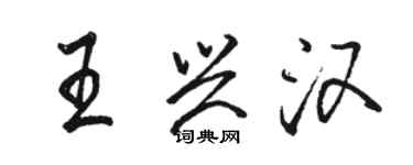 駱恆光王興漢行書個性簽名怎么寫