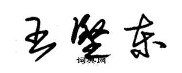 朱錫榮王堅東草書個性簽名怎么寫