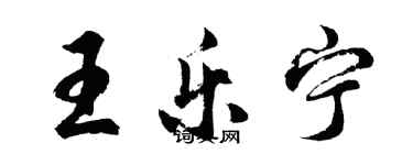 胡問遂王樂寧行書個性簽名怎么寫