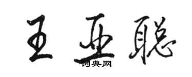 駱恆光王亞聰行書個性簽名怎么寫