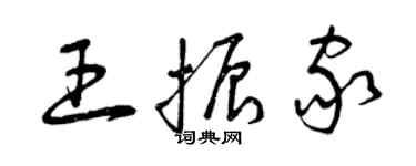 曾慶福王振家草書個性簽名怎么寫