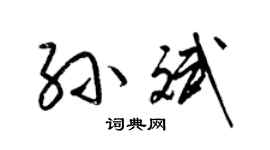 梁錦英孫斌草書個性簽名怎么寫