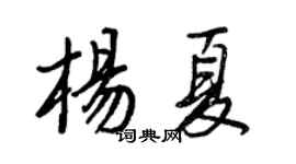 王正良楊夏行書個性簽名怎么寫