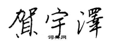 王正良賀宇澤行書個性簽名怎么寫
