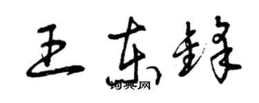 曾慶福王東鋒草書個性簽名怎么寫