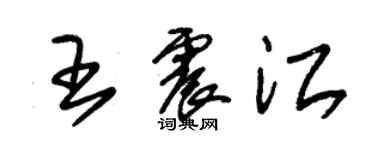 朱錫榮王震江草書個性簽名怎么寫