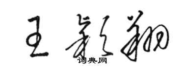 駱恆光王穎翔草書個性簽名怎么寫