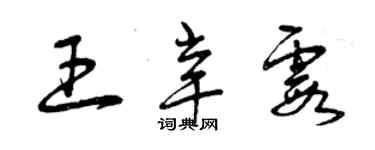 曾慶福王辛霞草書個性簽名怎么寫