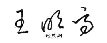 駱恆光王明高草書個性簽名怎么寫