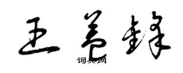 曾慶福王益鋒草書個性簽名怎么寫