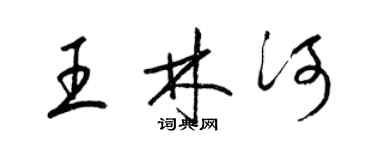 梁錦英王林河草書個性簽名怎么寫