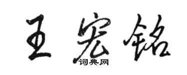 駱恆光王宏銘行書個性簽名怎么寫
