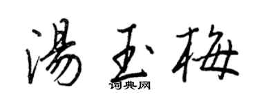 王正良湯玉梅行書個性簽名怎么寫
