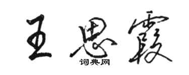 駱恆光王思霞行書個性簽名怎么寫