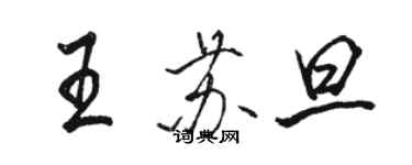 駱恆光王蘇旦行書個性簽名怎么寫