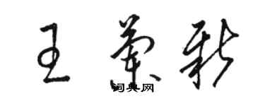 駱恆光王蘭新草書個性簽名怎么寫