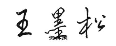 駱恆光王墨松行書個性簽名怎么寫