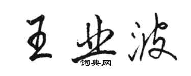 駱恆光王業波行書個性簽名怎么寫