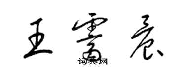 梁錦英王霽晨草書個性簽名怎么寫