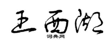曾慶福王西湖草書個性簽名怎么寫