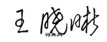 駱恆光王曉晰草書個性簽名怎么寫