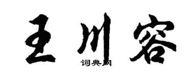 胡問遂王川容行書個性簽名怎么寫