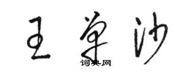 駱恆光王單沙草書個性簽名怎么寫