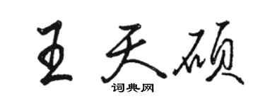 駱恆光王天碩行書個性簽名怎么寫